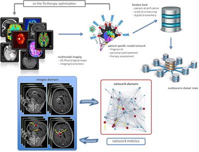 Expected Impacts of Connected Multimodal Imaging in Precision Oncology